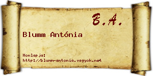 Blumm Antónia névjegykártya
